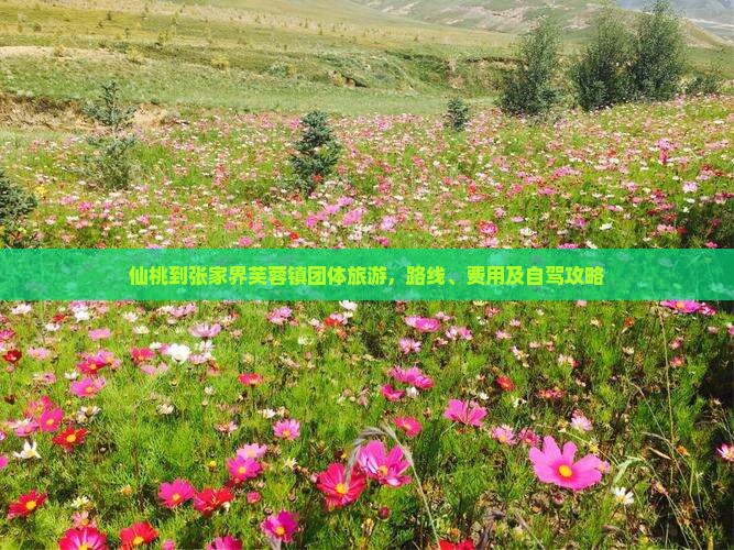 仙桃到张家界芙蓉镇团体旅游