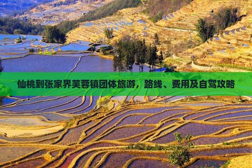 仙桃到张家界芙蓉镇团体旅游
