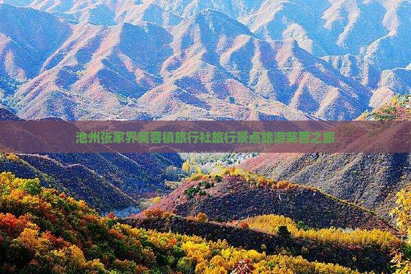 池州去张家界芙蓉镇旅行社