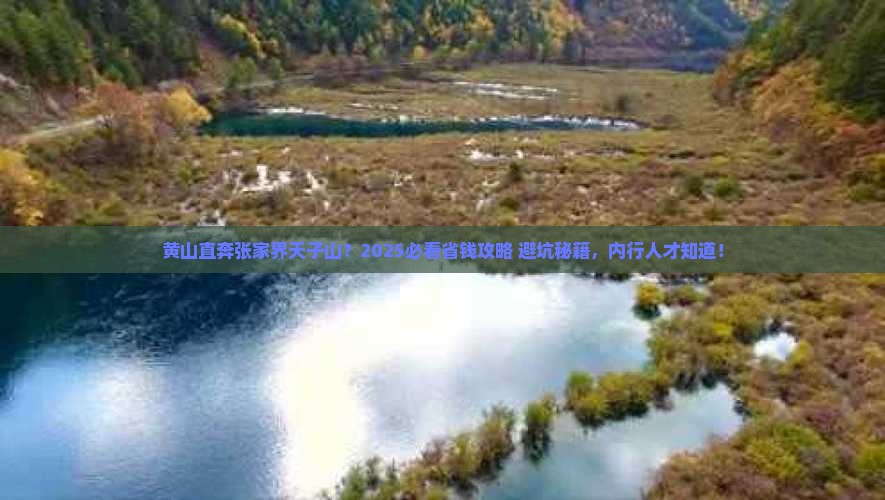 黄山到张家界天子山旅行社