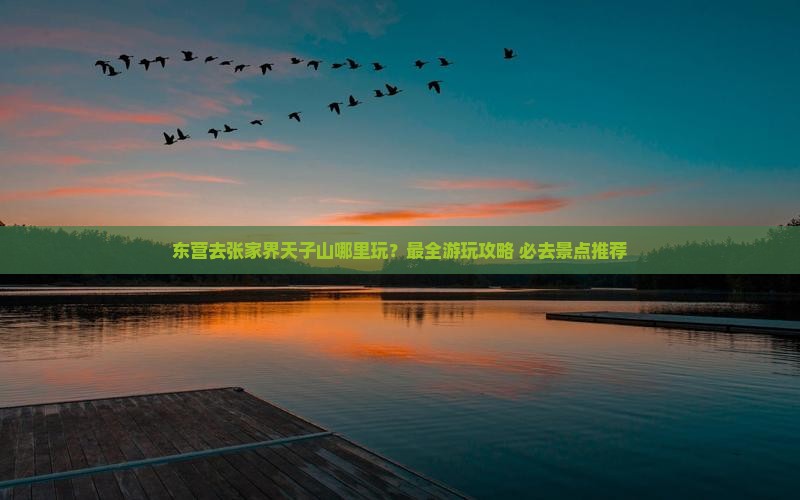 东营去张家界天子山哪里玩