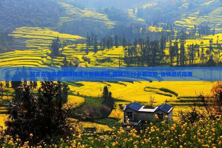 韶关去张家界玻璃栈道大型旅游团