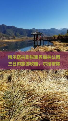 博尔塔拉到张家界森林公园三日游
