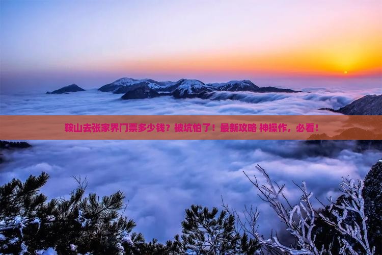 鞍山去张家界门票