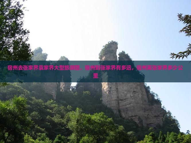 宿州去张家界袁家界大型旅游团