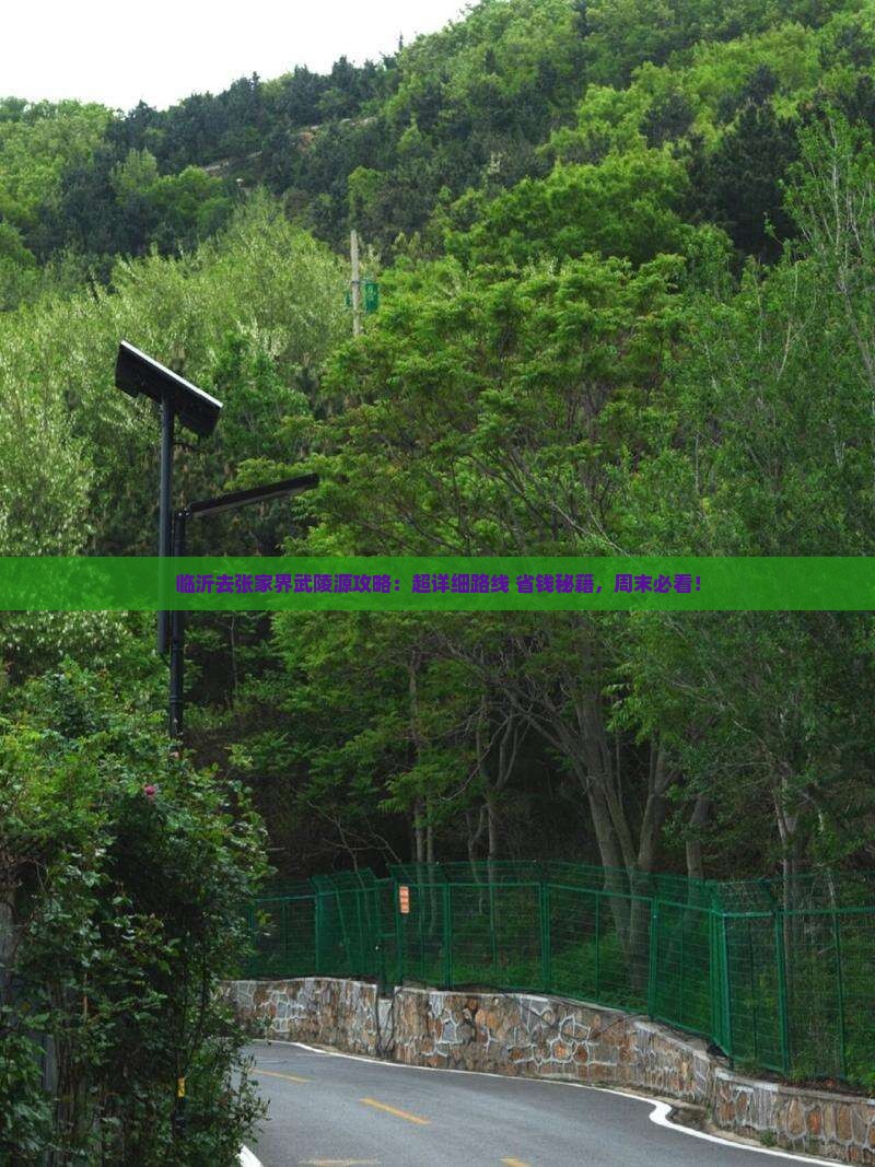 临沂去张家界武陵源攻略