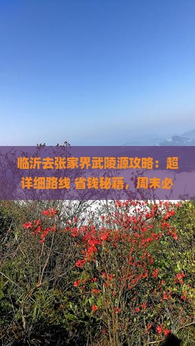 临沂去张家界武陵源攻略