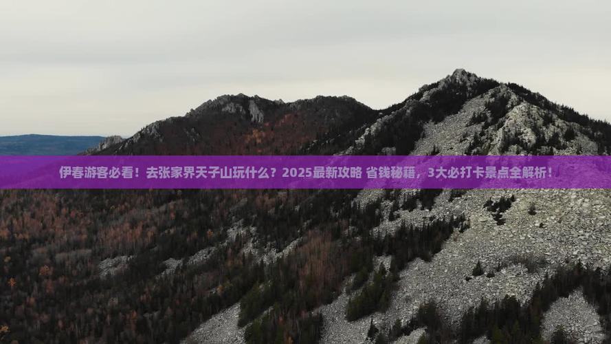 伊春去张家界天子山哪里玩