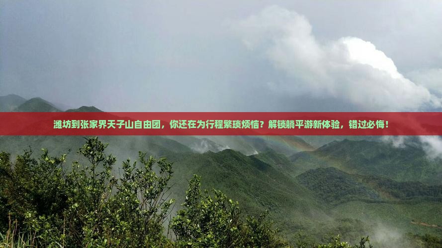 潍坊到张家界天子山自由团
