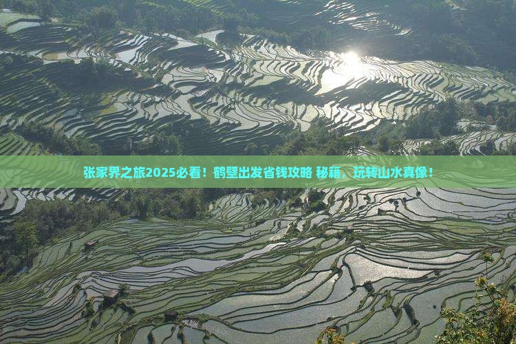鹤壁到张家界团体旅游