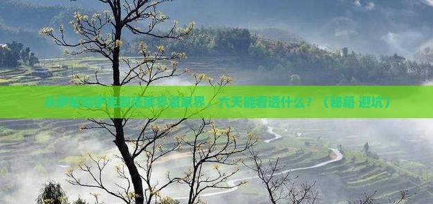 伊犁哈萨克到张家界袁家界六日游