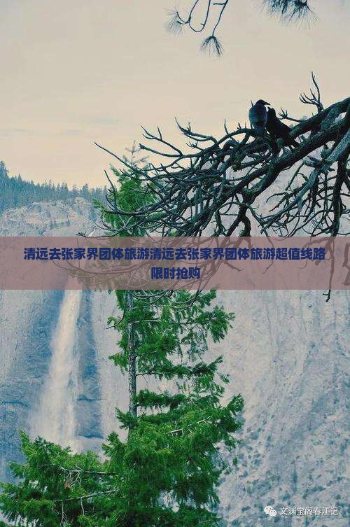 清远去张家界团体旅游