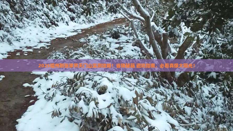 福州到张家界天门山攻略