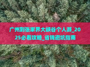 广州到张家界大峡谷个人游