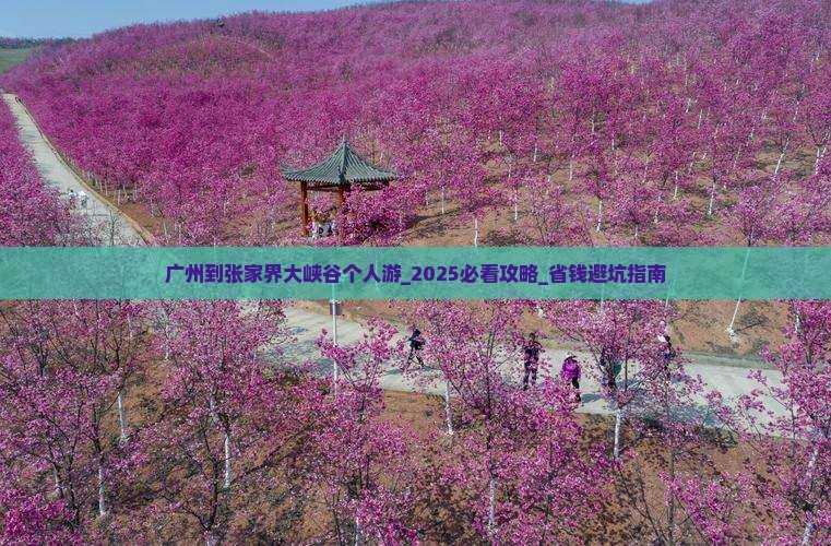 广州到张家界大峡谷个人游