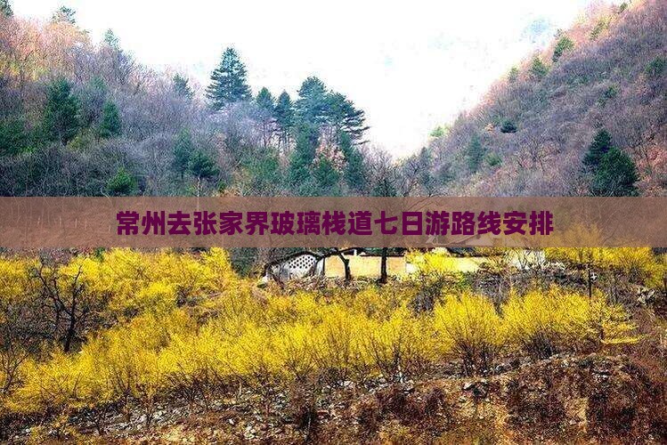 常州去张家界玻璃栈道七日游