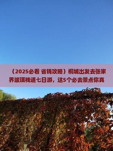 桐城到张家界玻璃栈道七日游