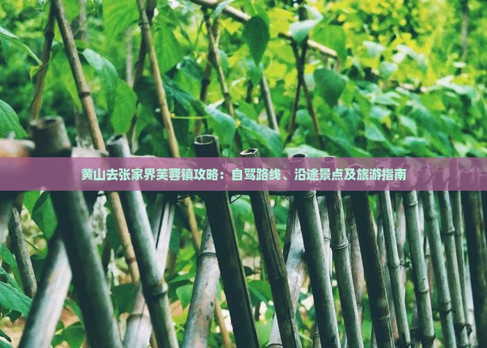 黄山去张家界芙蓉镇攻略