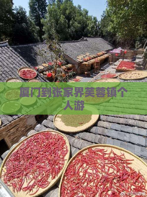 厦门到张家界芙蓉镇个人游