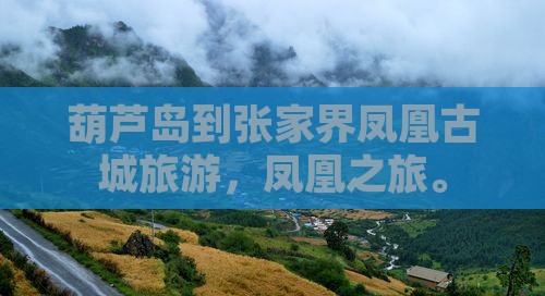 葫芦岛到张家界凤凰古城旅行社