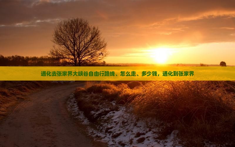 通化去张家界大峡谷自由行