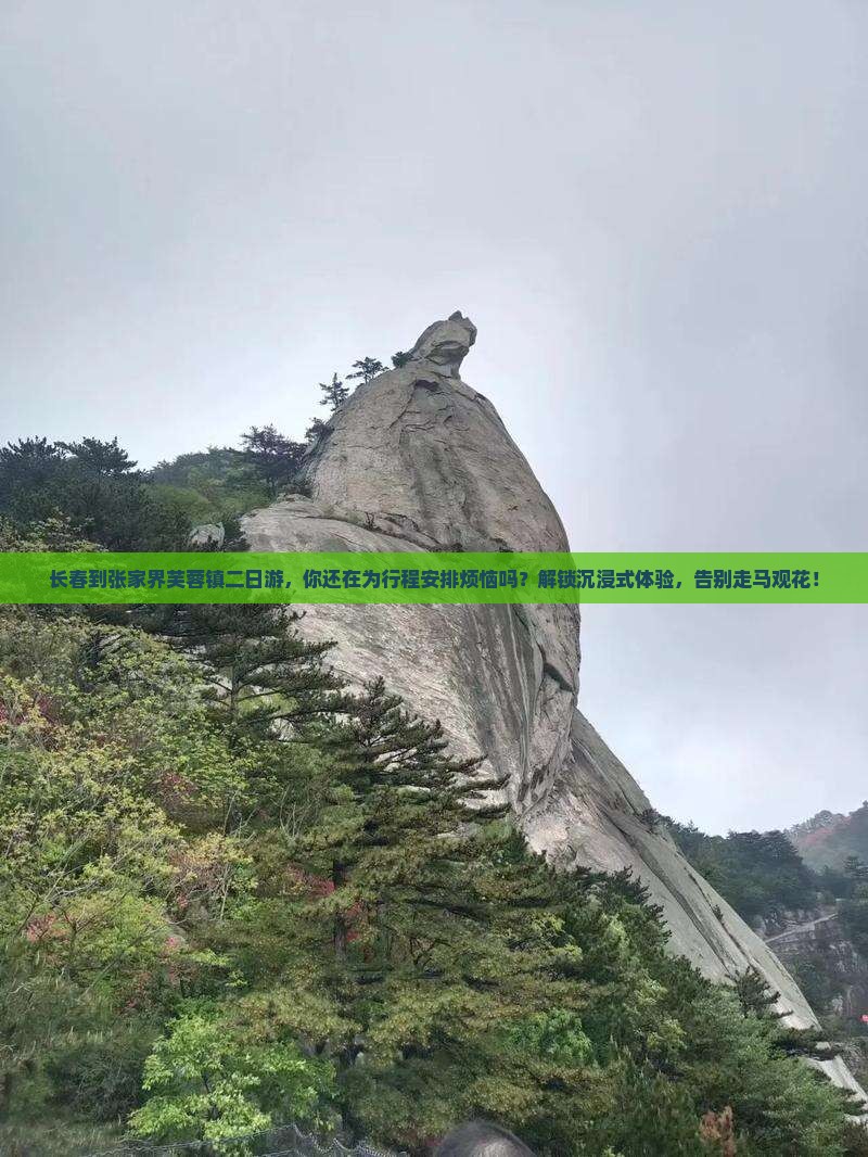 长春到张家界芙蓉镇二日游