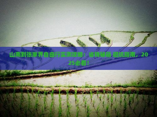 山南到张家界自由行