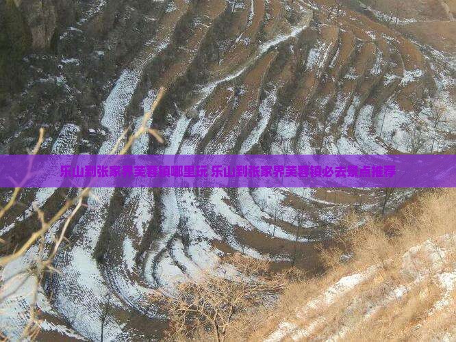 乐山到张家界芙蓉镇哪里玩