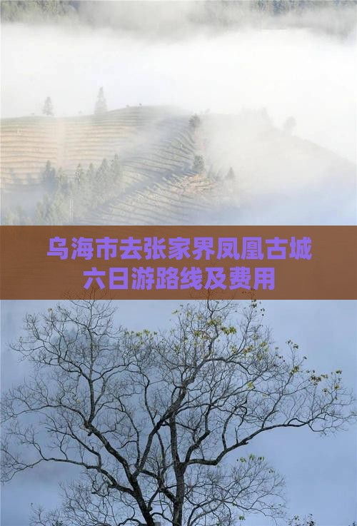 乌海市去张家界凤凰古城六日游