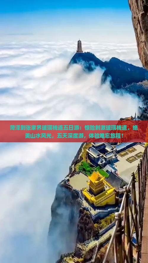 菏泽到张家界玻璃栈道五日游