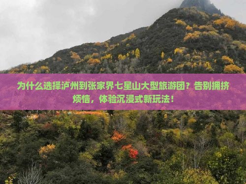 泸州到张家界七星山大型旅游团