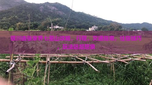 银川去张家界七星山攻略
