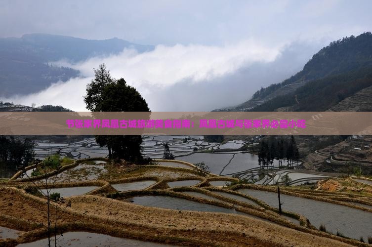 国庆节去张家界凤凰古城旅游小吃