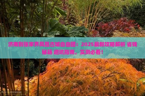 济南到张家界凤凰古城自由团