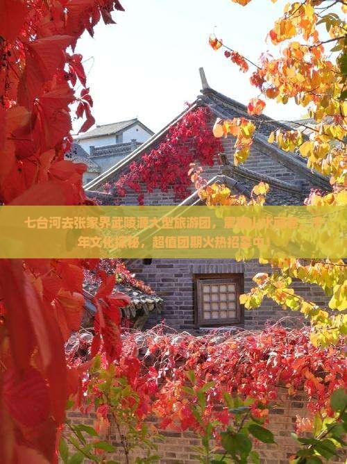 七台河去张家界武陵源大型旅游团