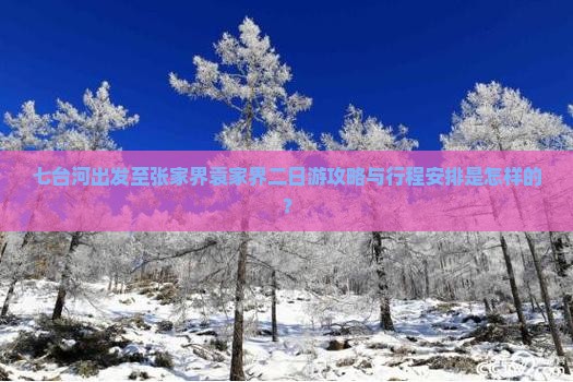 七台河出发至张家界袁家界二日游攻略与行程安排是怎样的？