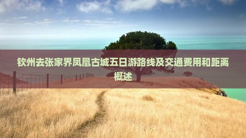 钦州去张家界凤凰古城五日游路线及交通费用和距离概述