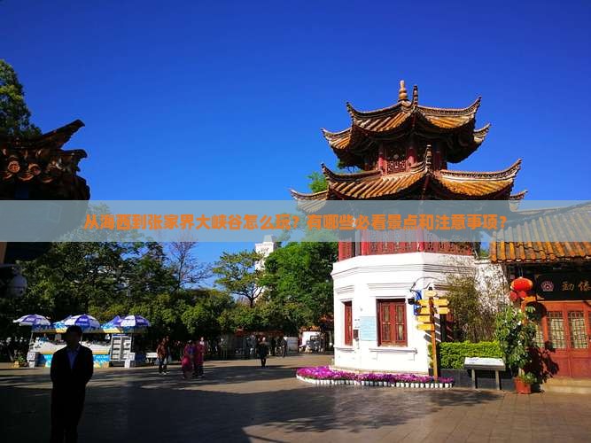 从海西到张家界大峡谷怎么玩？有哪些必看景点和注意事项？