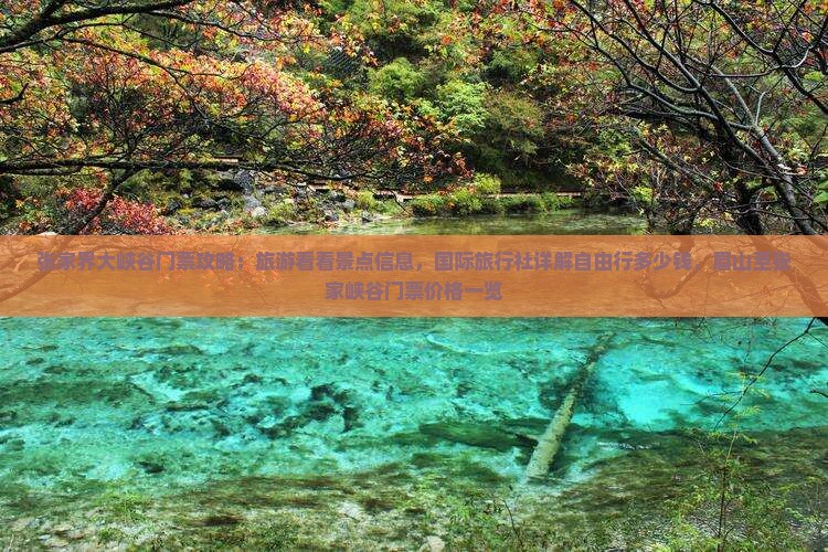 张家界大峡谷门票攻略：旅游看看景点信息，国际旅行社详解自由行多少钱，眉山至张家峡谷门票价格一览
