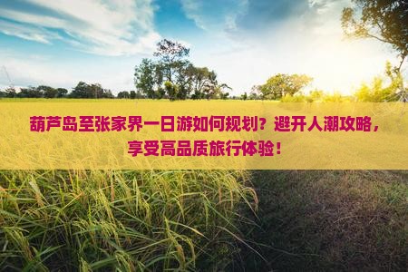 葫芦岛至张家界一日游如何规划？避开人潮攻略，享受高品质旅行体验！