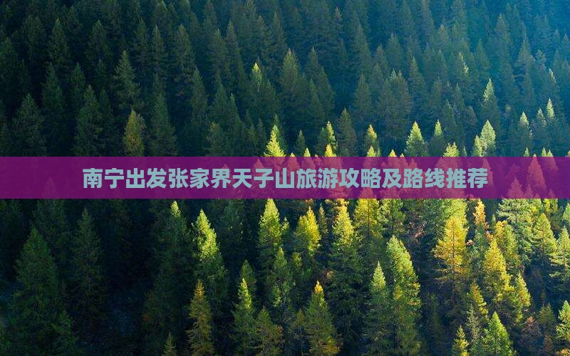南宁出发张家界天子山旅游攻略及路线推荐