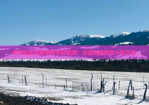 泰安出发探秘张家界武陵源：必尝当地特色小吃之旅