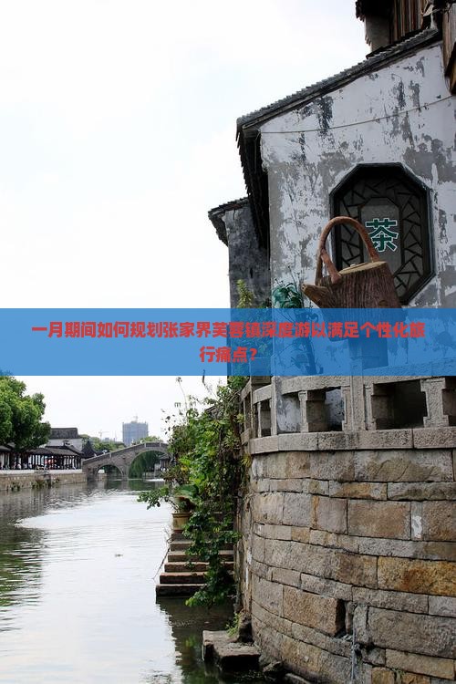 一月期间如何规划张家界芙蓉镇深度游以满足个性化旅行痛点？