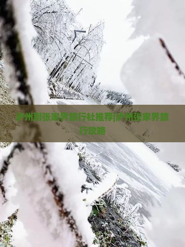 泸州到张家界旅行社推荐|泸州张家界旅行攻略