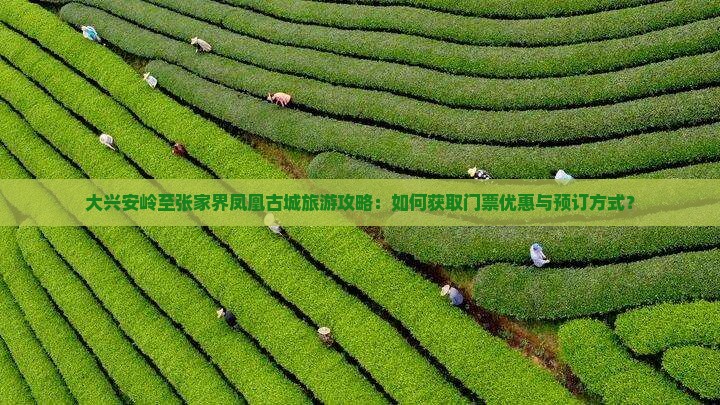大兴安岭至张家界凤凰古城旅游攻略：如何获取门票优惠与预订方式？