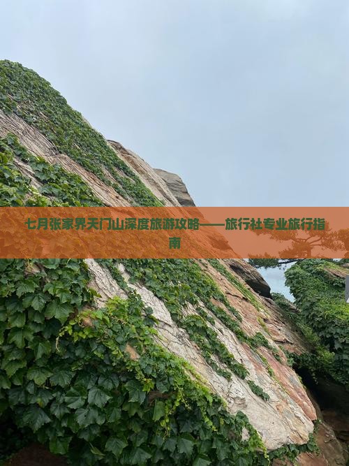 七月张家界天门山深度旅游攻略——旅行社专业旅行指南