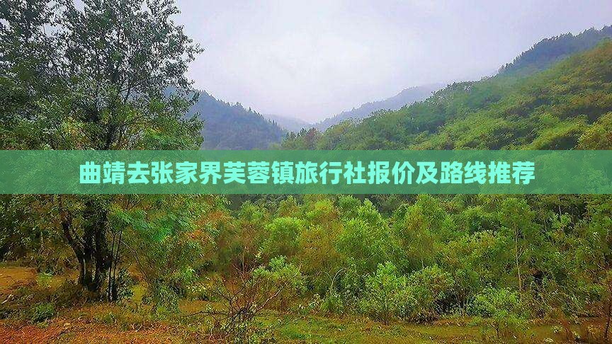 曲靖去张家界芙蓉镇旅行社报价及路线推荐