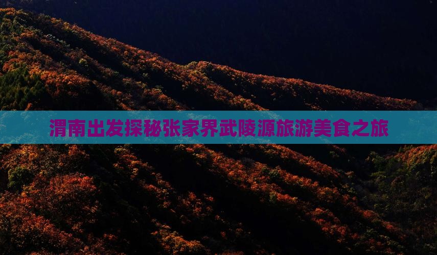 渭南出发探秘张家界武陵源旅游美食之旅