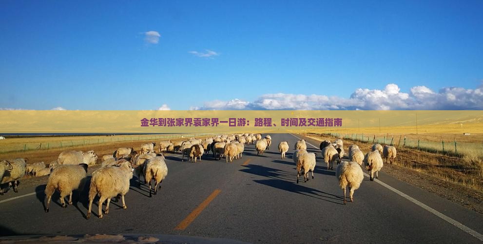 金华到张家界袁家界一日游：路程、时间及交通指南