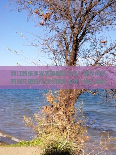 丽江到张家界芙蓉镇旅行社？旅行预算有限又想玩得尽兴该怎么办？加入旅拍元素更吸睛